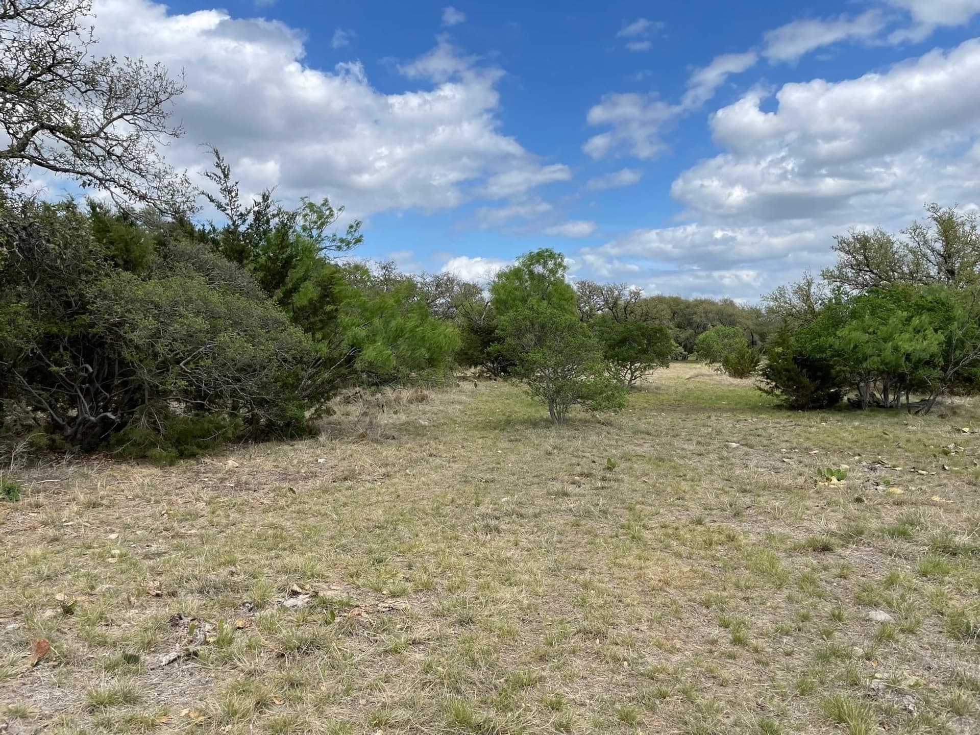 3.42 acres in Burnet County gallery image 3