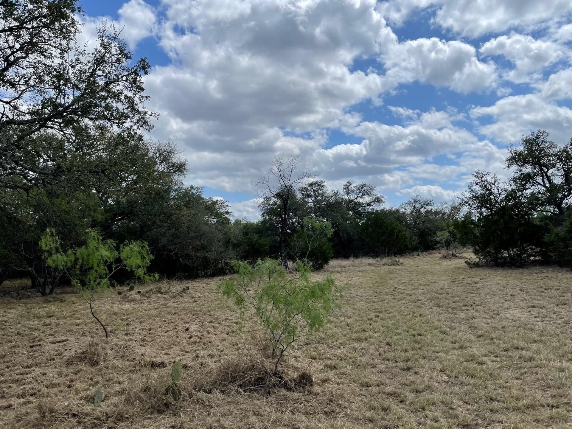 3.42 acres in Burnet County featured view