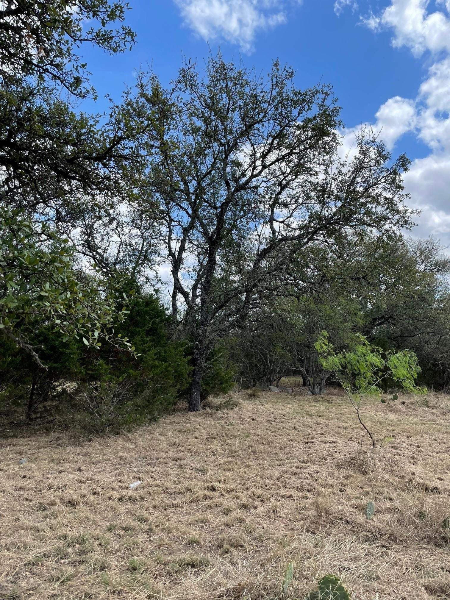 3.42 acres in Burnet County gallery image 4
