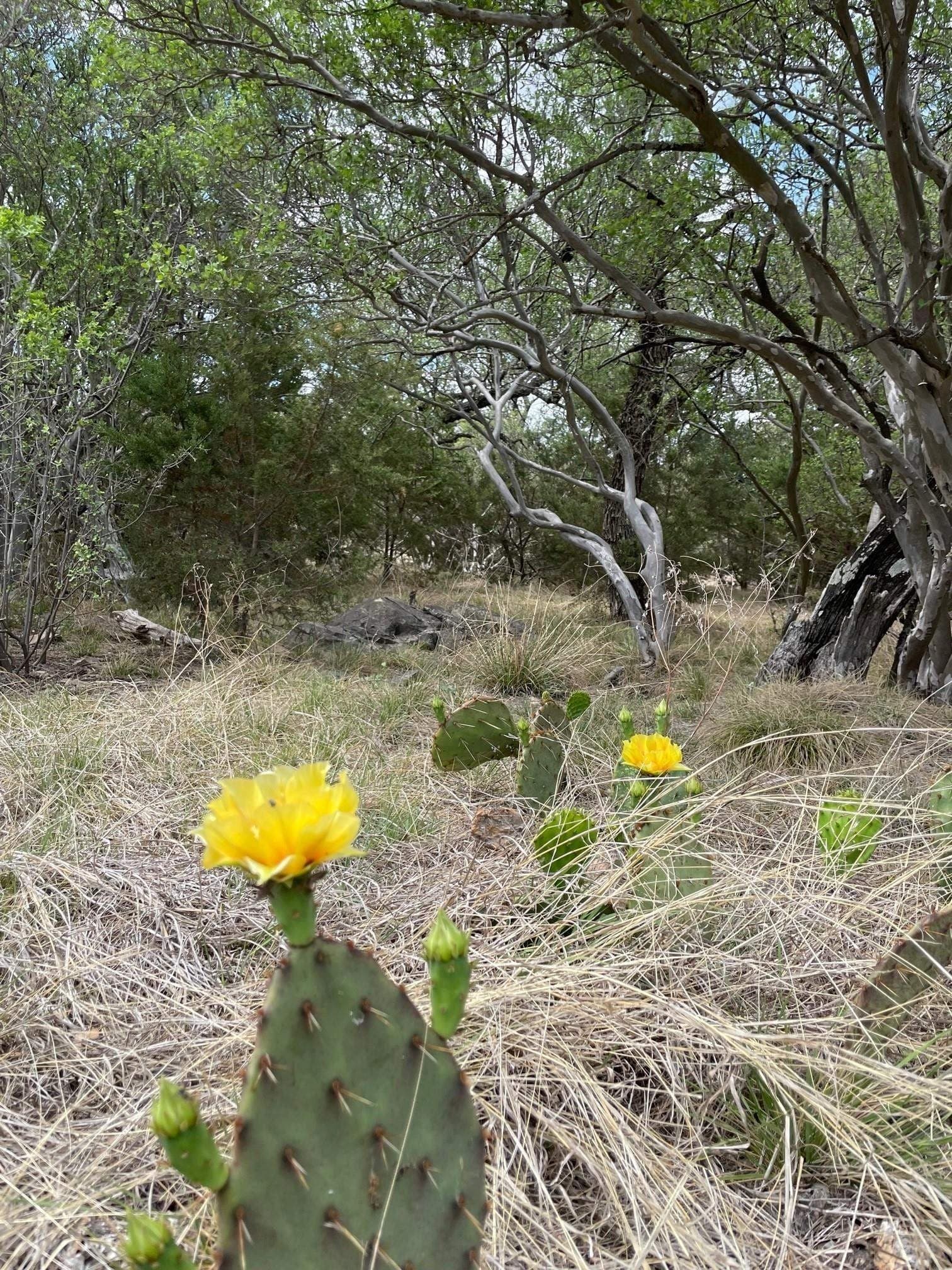 3.42 acres in Burnet County - photo 11