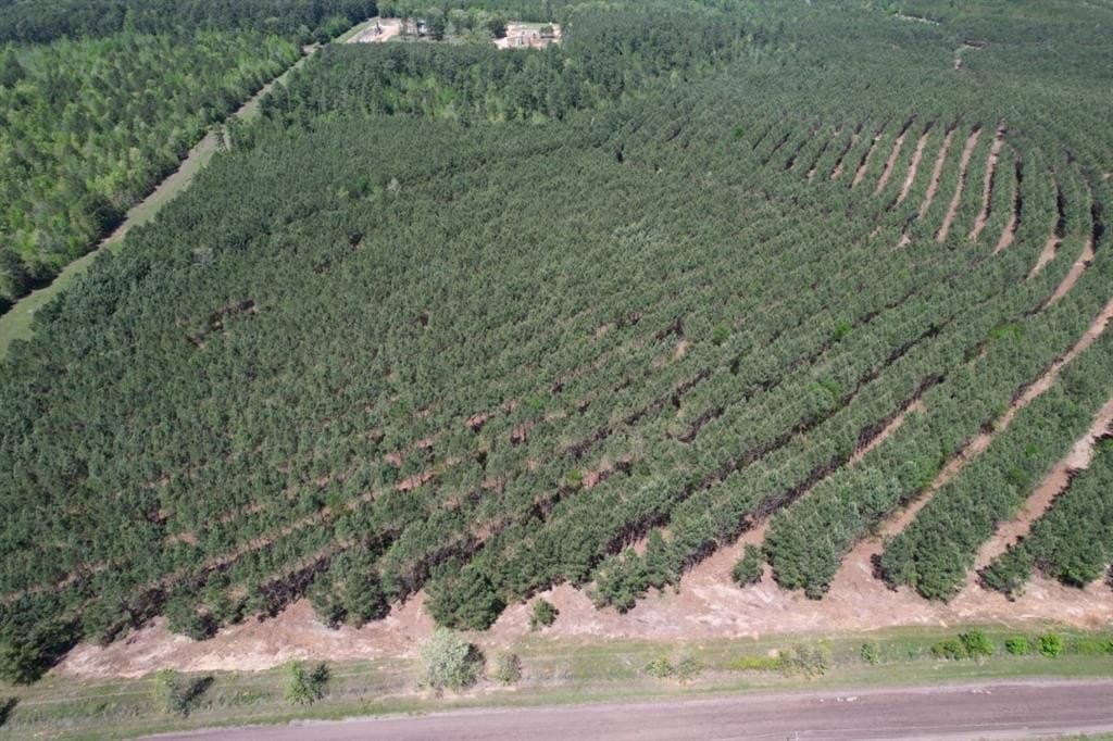 31.51 acres in Gregg County gallery image 3