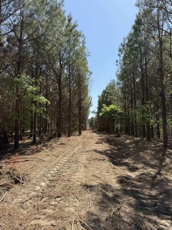 31.51 acres in Gregg County gallery image 2