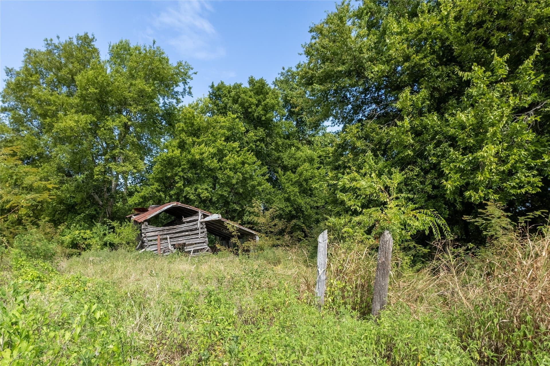 216 acres in Fannin County - photo 15