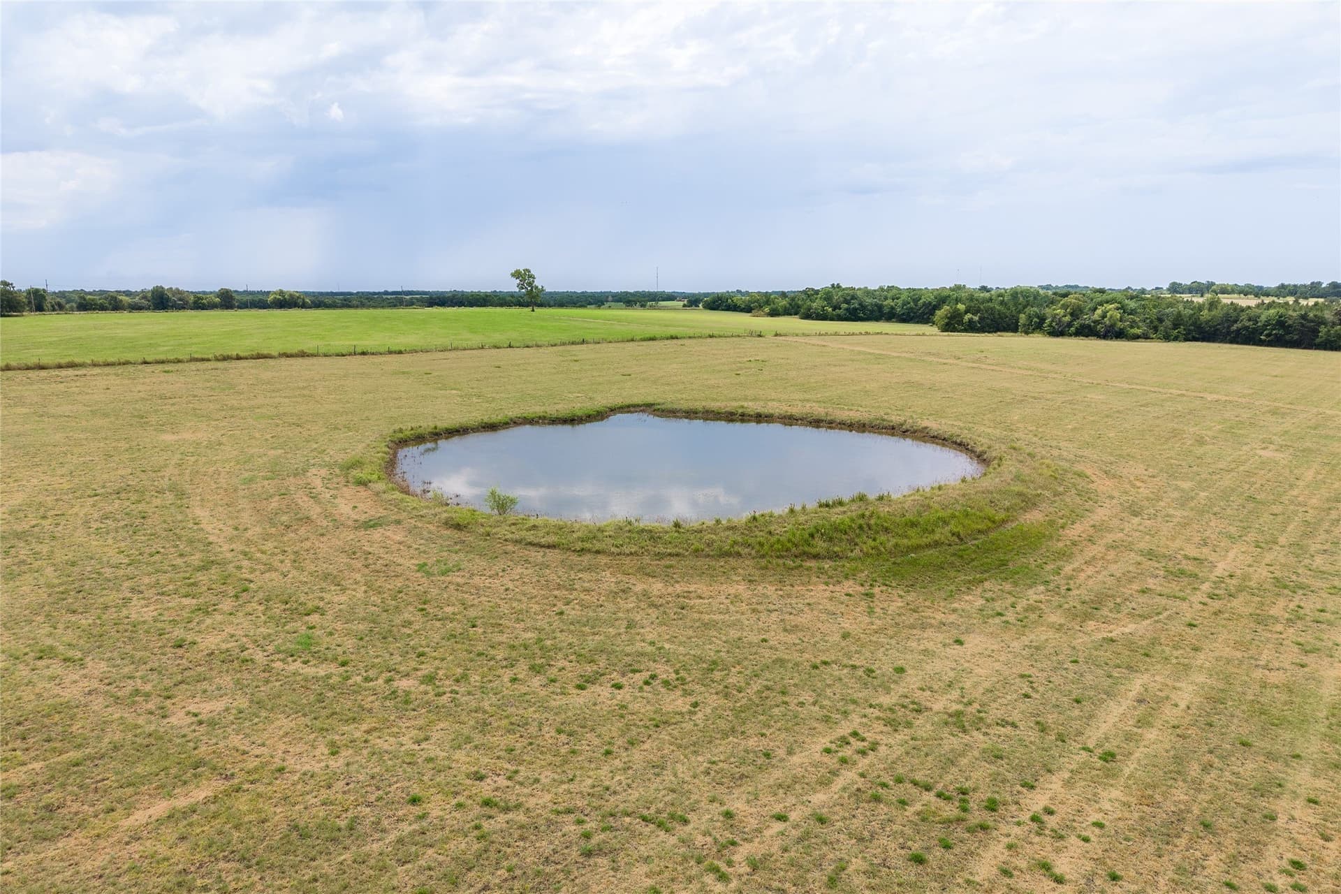 216 acres in Fannin County - photo 4