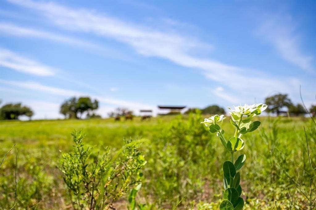 53.71 acres in Parker County featured view
