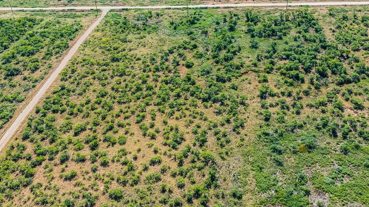 10.01 acres in Clay County - photo 12