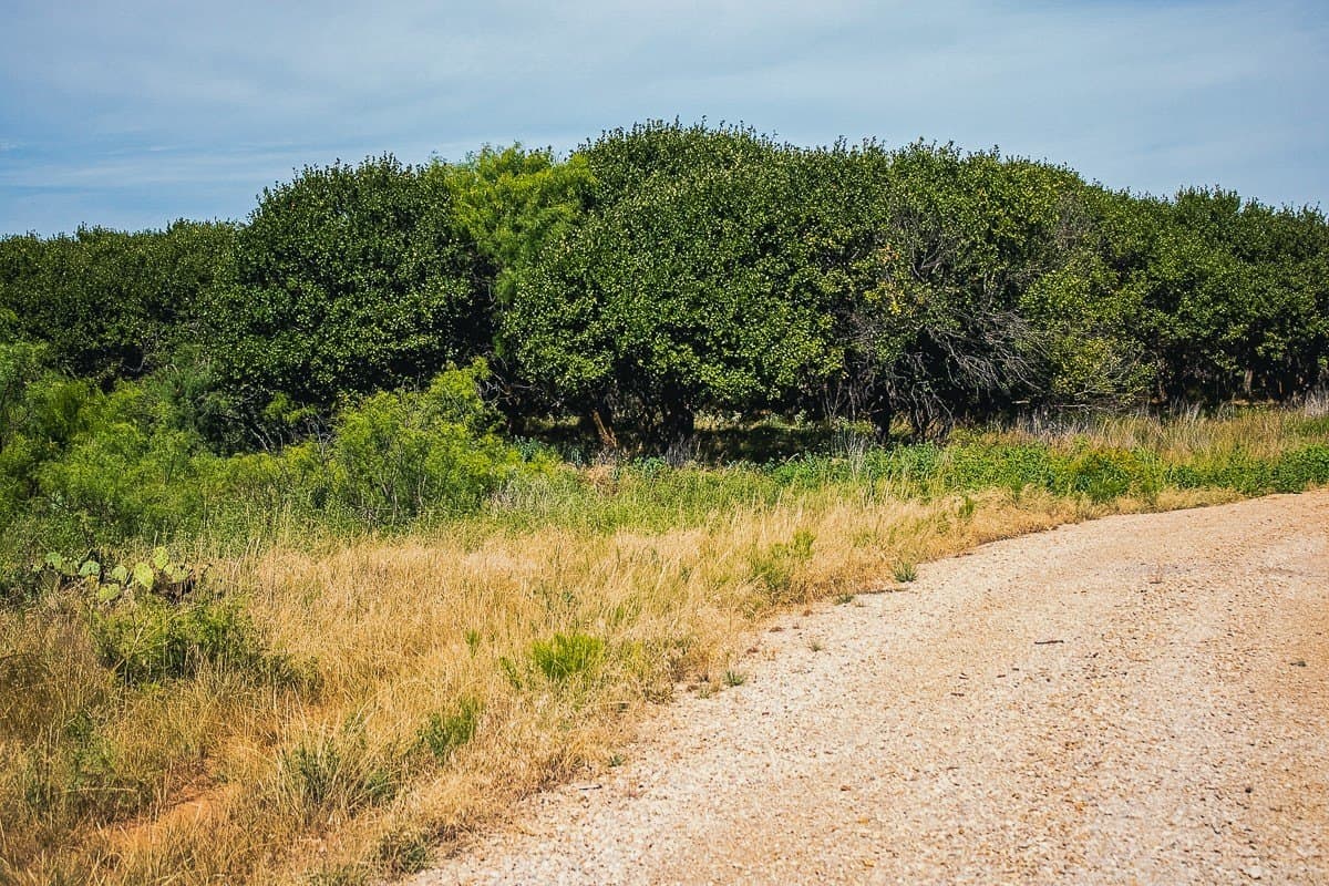 10.01 acres in Clay County - photo 6