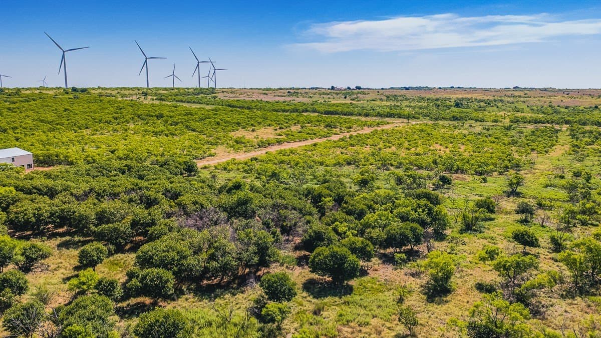 10.01 acres in Clay County - photo 10