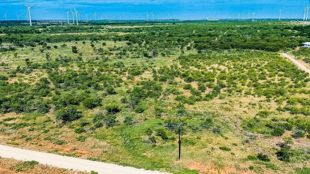 10.01 acres in Clay County - photo 8