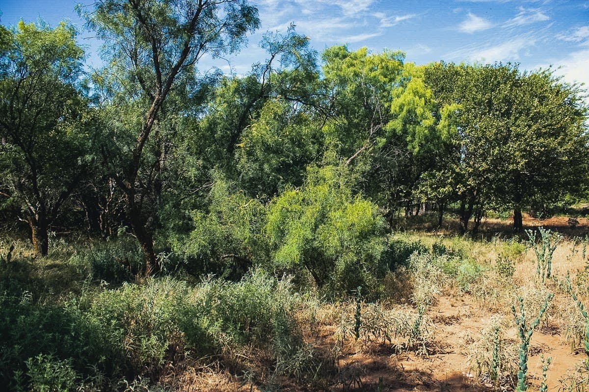 10.01 acres in Clay County - photo 5