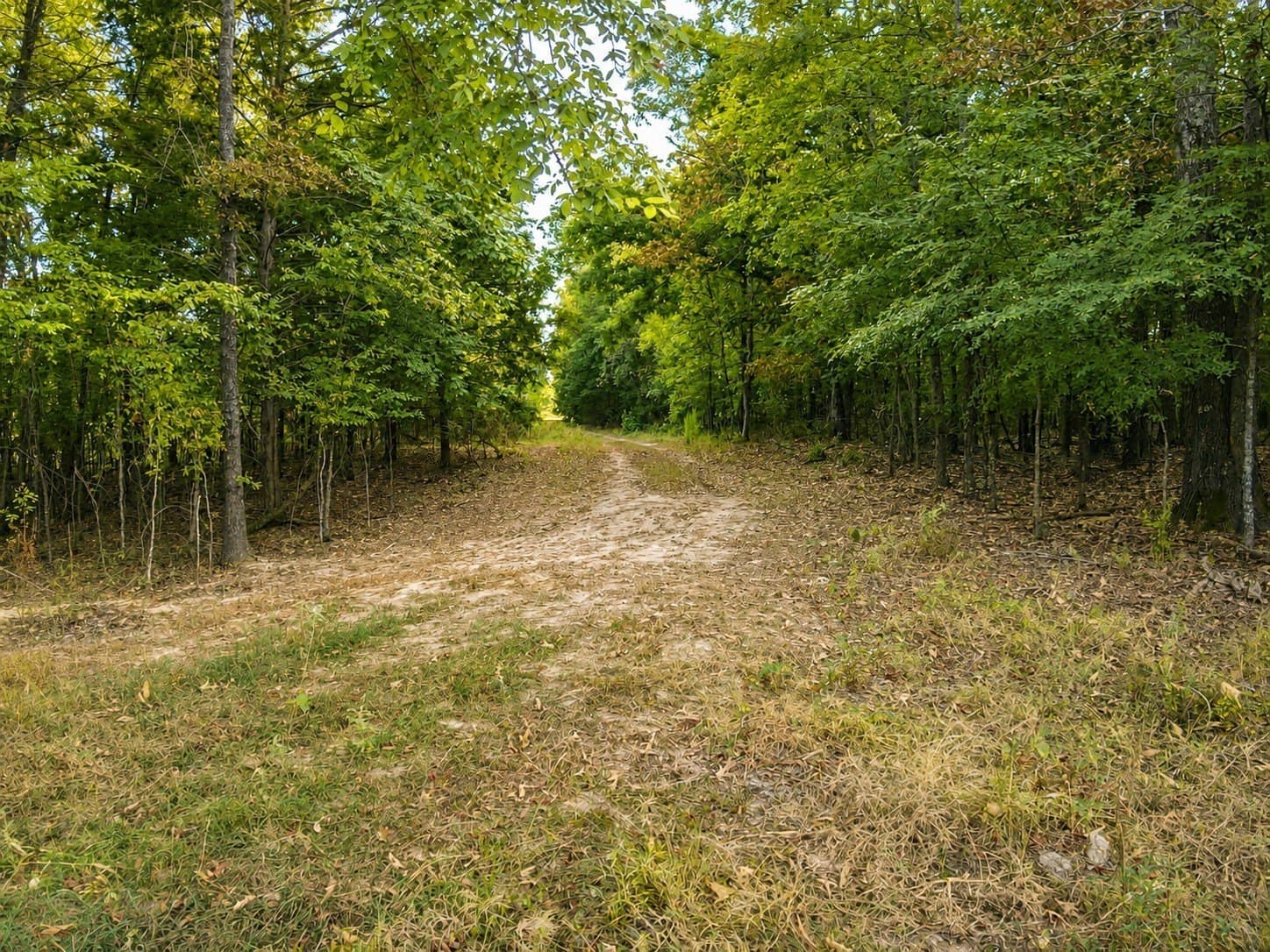 53.94 acres in Red River (TX) County - photo 4