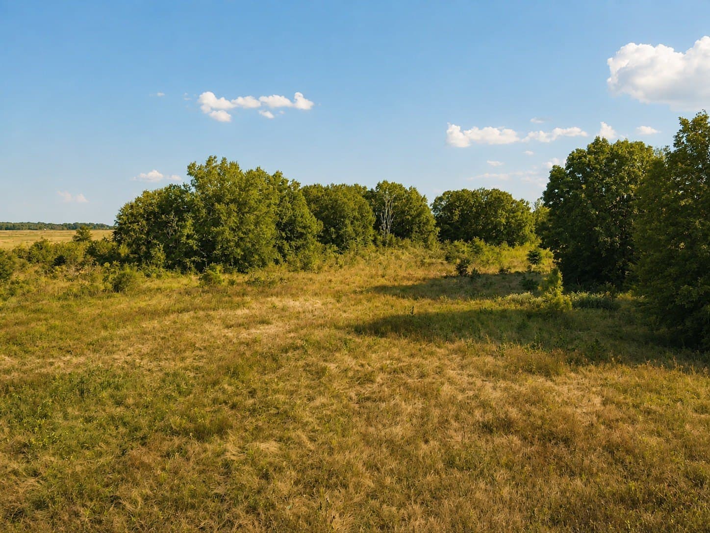 53.94 acres in Red River (TX) County - photo 2