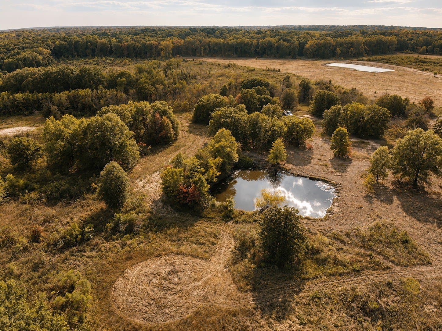 53.94 acres in Red River (TX) County - photo 10