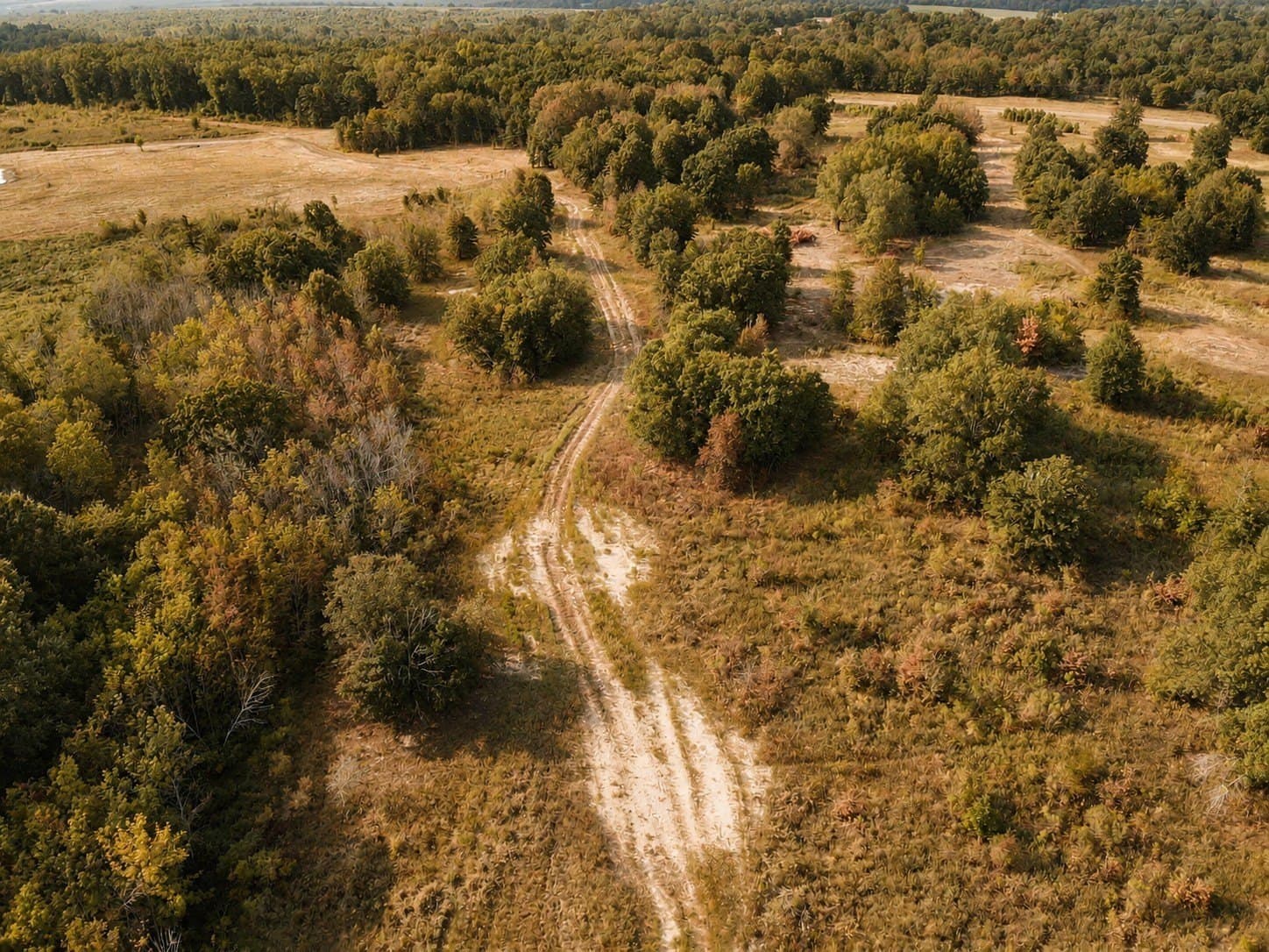 53.94 acres in Red River (TX) County - photo 8