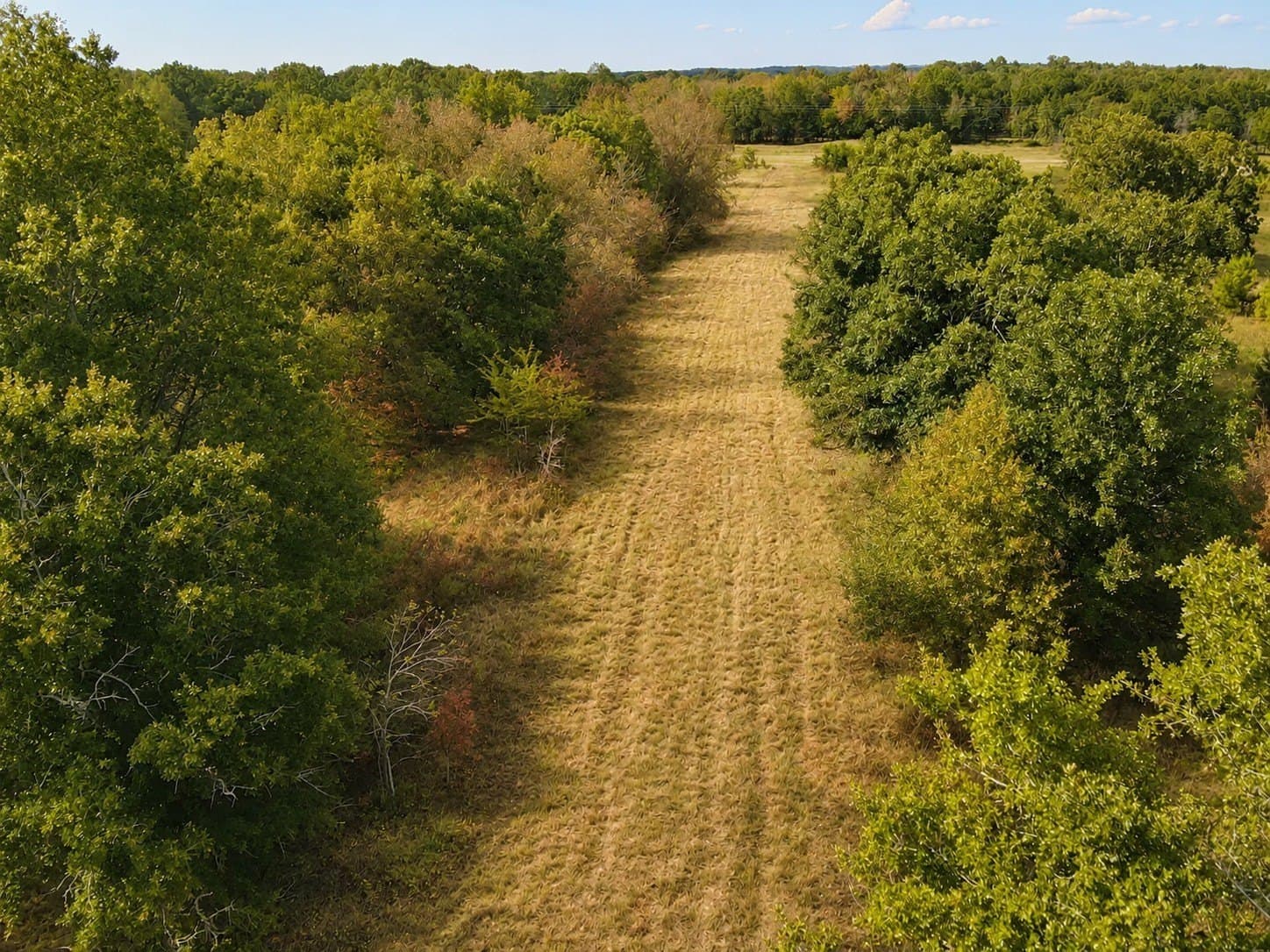53.94 acres in Red River (TX) County - photo 3