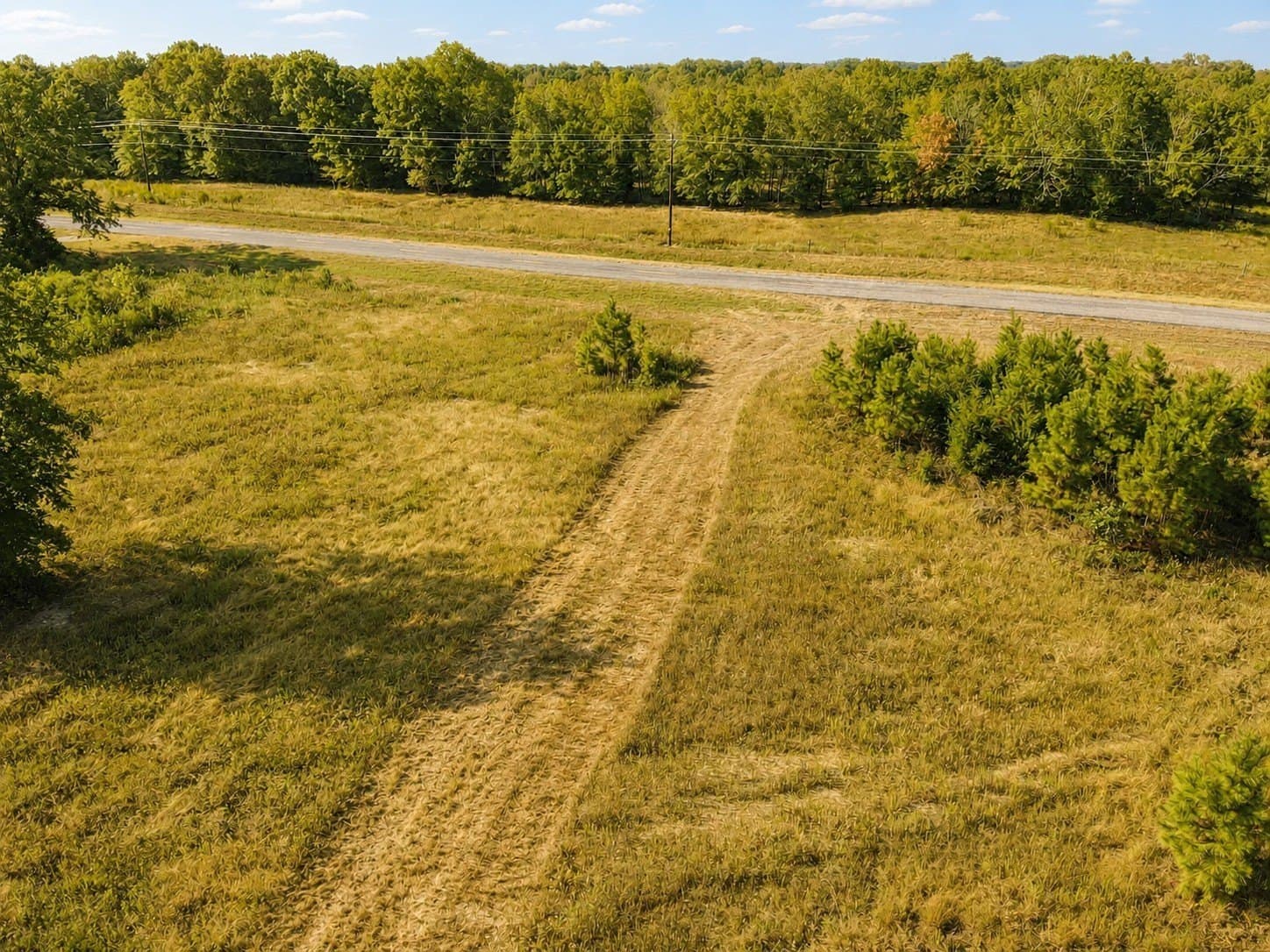53.94 acres in Red River (TX) County - photo 6