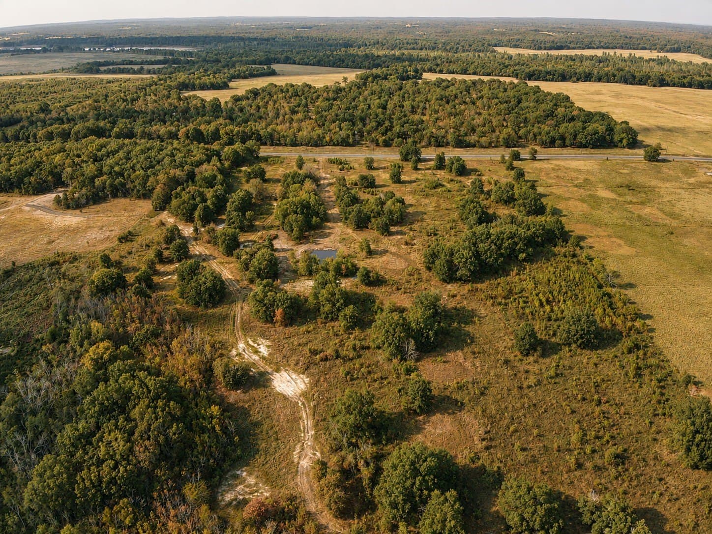 53.94 acres in Red River (TX) County - photo 9