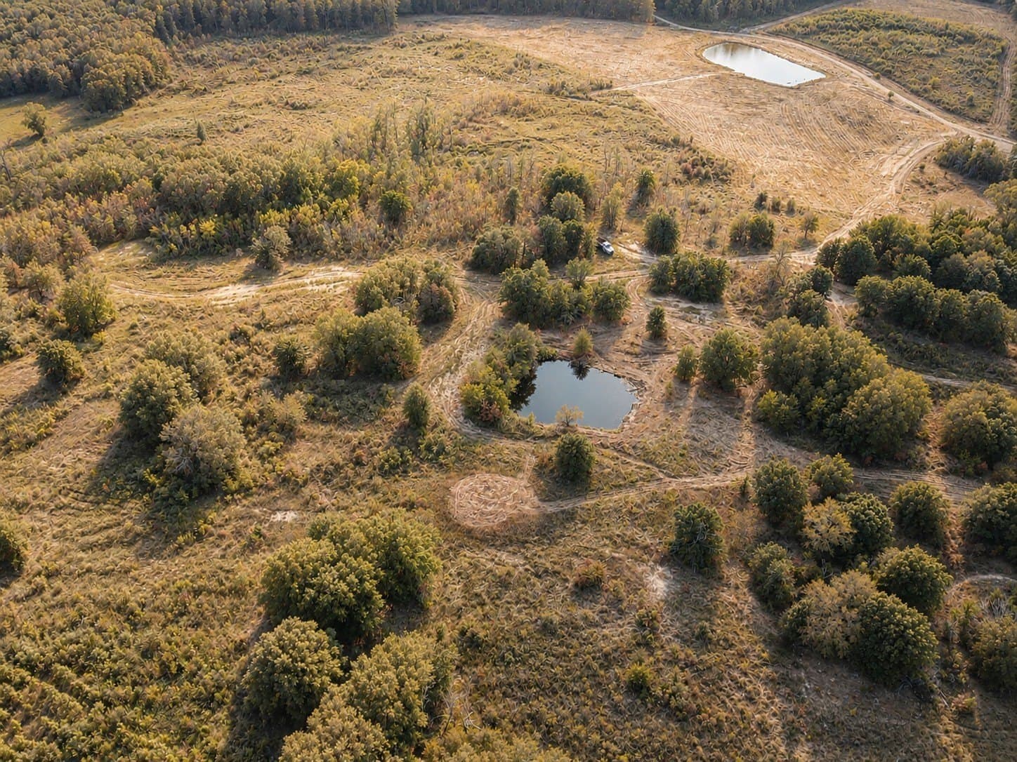 53.94 acres in Red River (TX) County