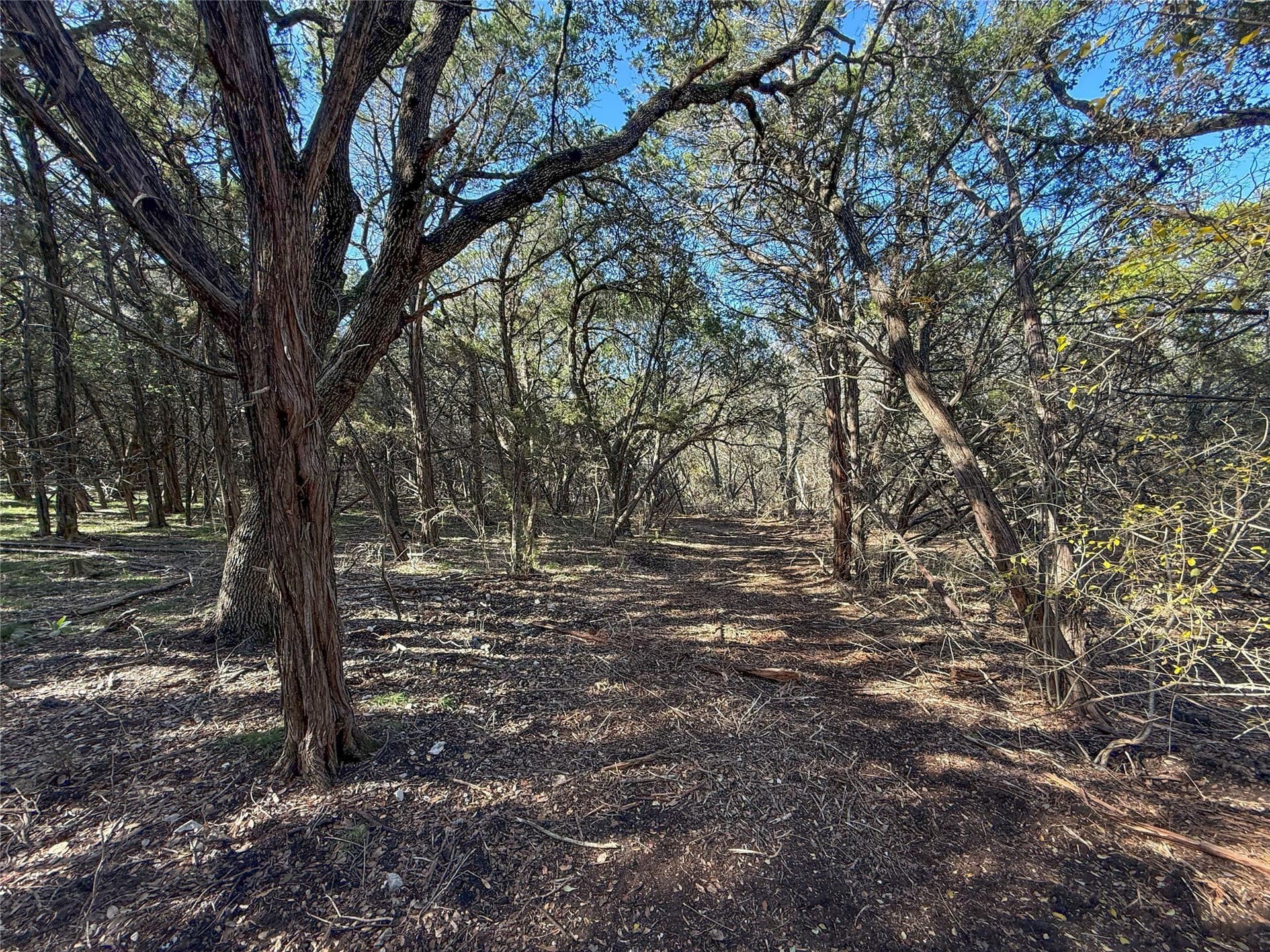 103.68 acres in McLennan County - photo 14