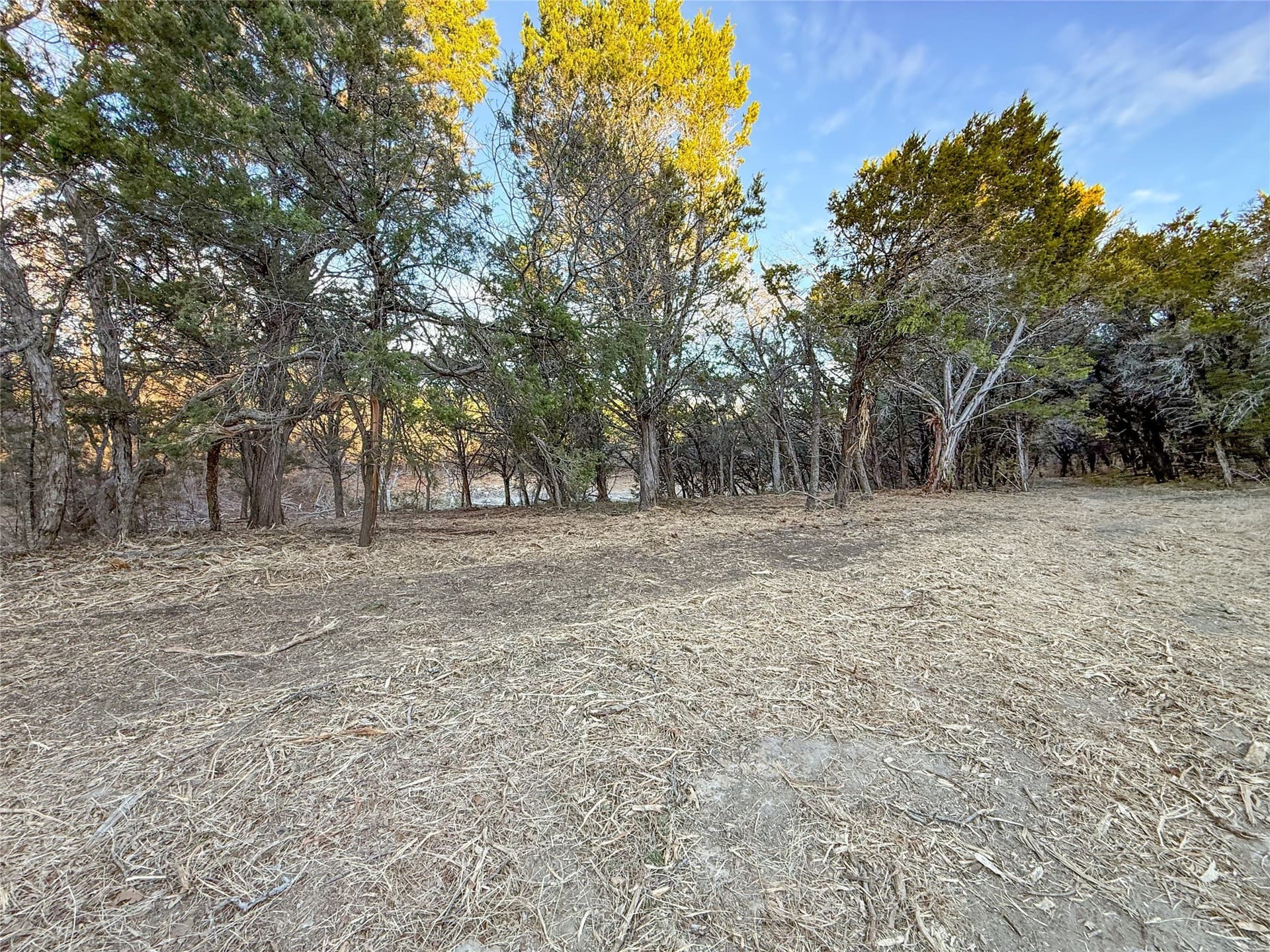 103.68 acres in McLennan County - photo 15