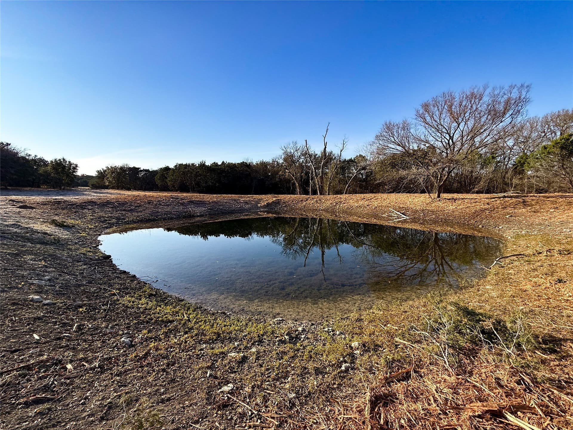 103.68 acres in McLennan County - photo 7