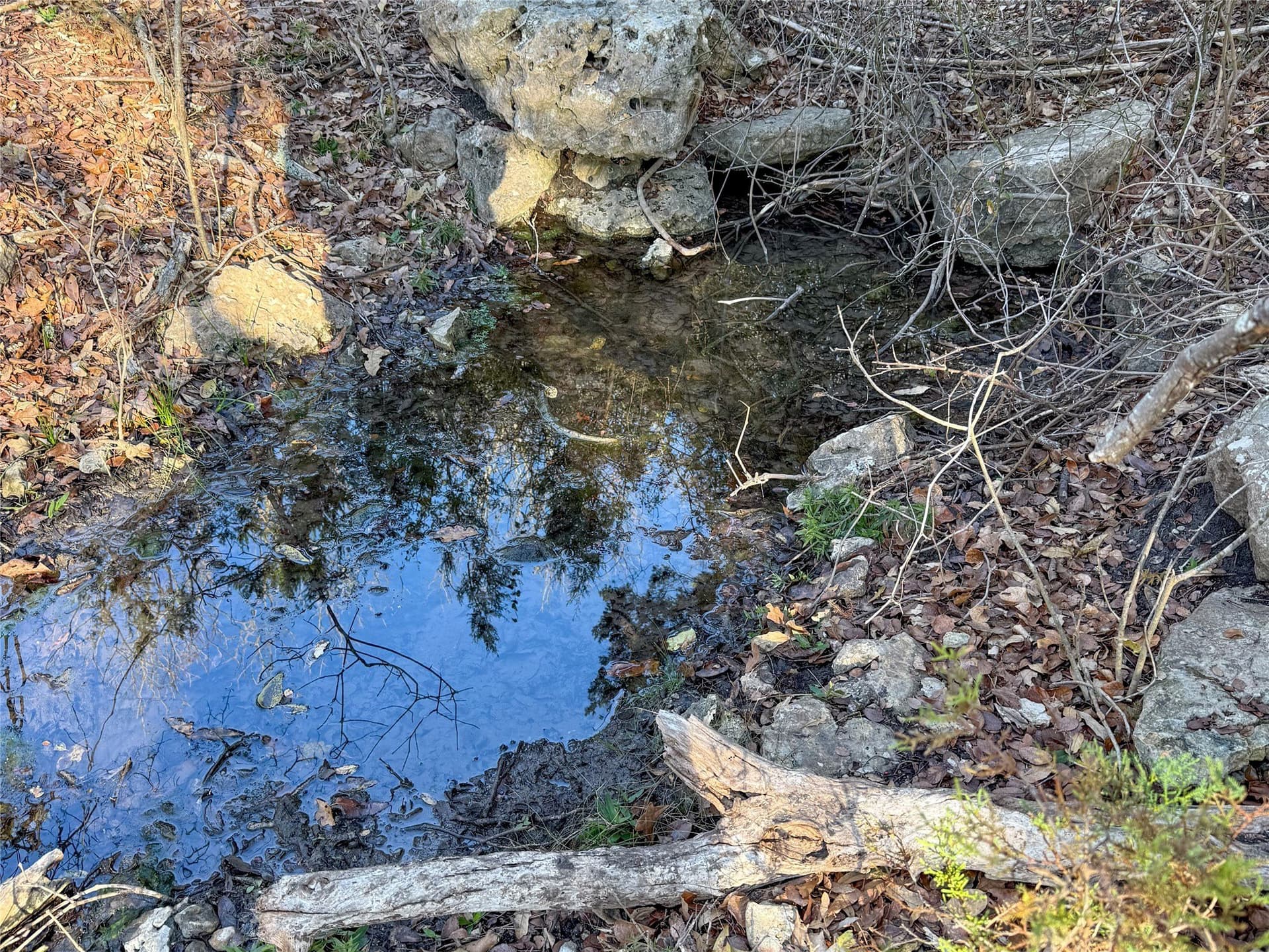 103.68 acres in McLennan County - photo 5