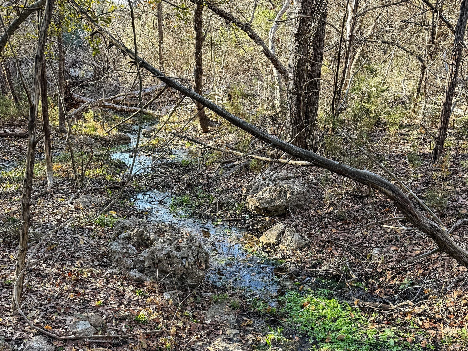 103.68 acres in McLennan County - photo 4