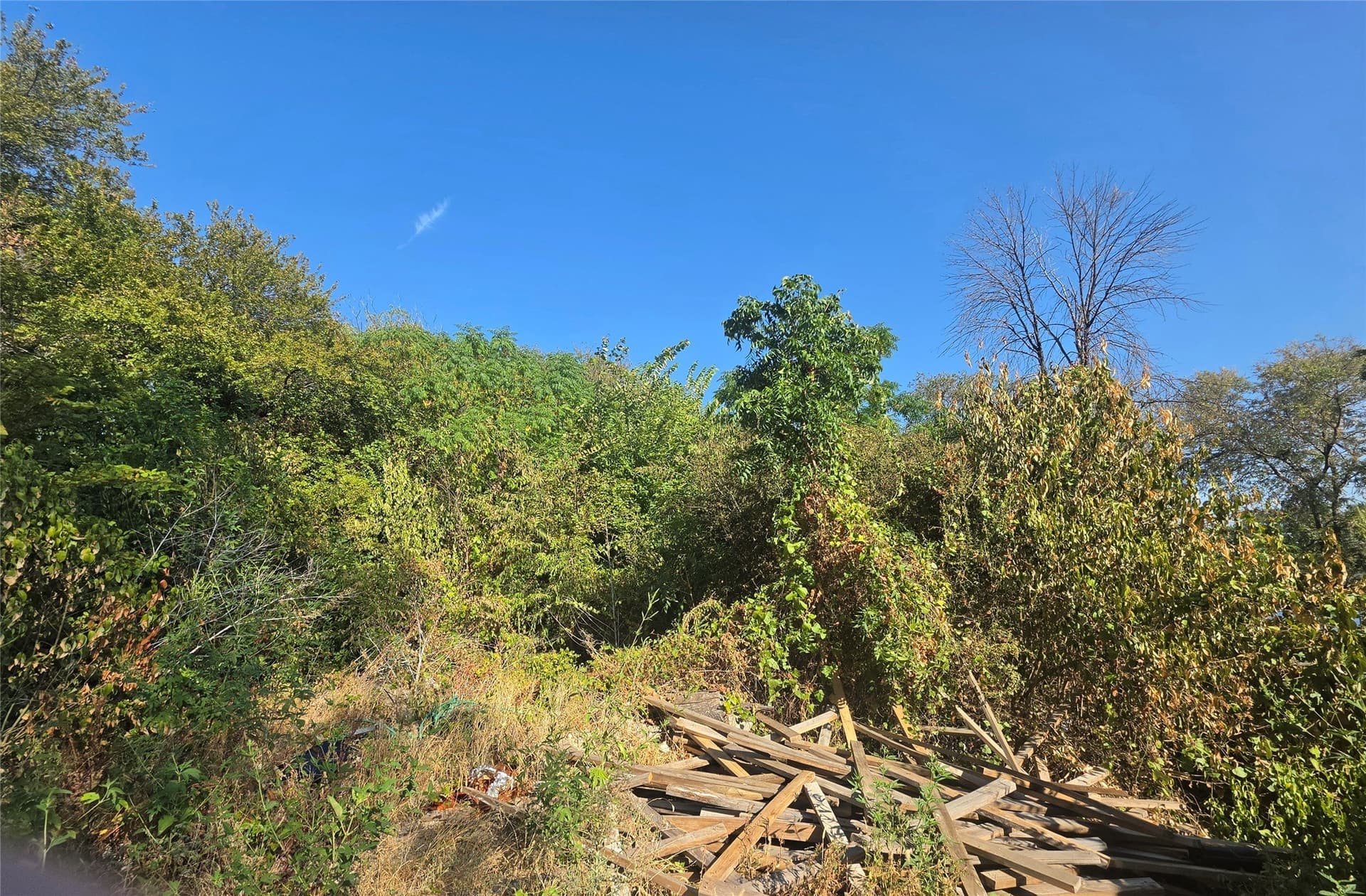 0.16 acres in Tarrant County - photo 9