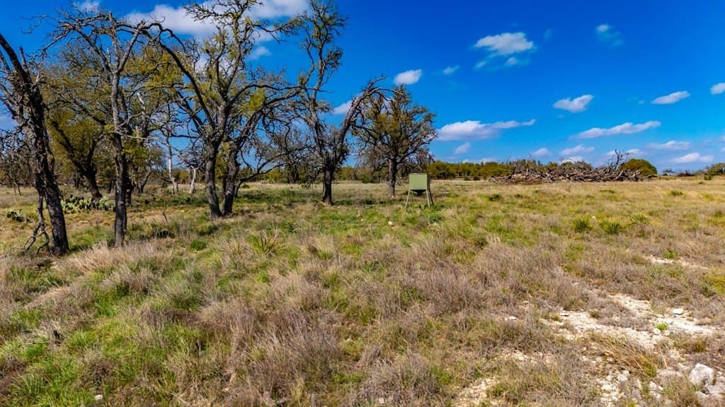 10.02 acres in Gillespie County - photo 17