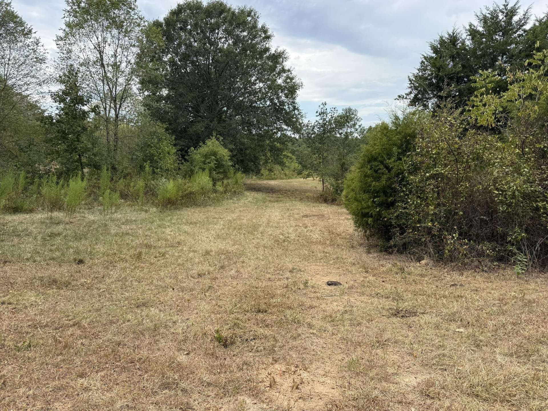 33 acres in Texas County - photo 7