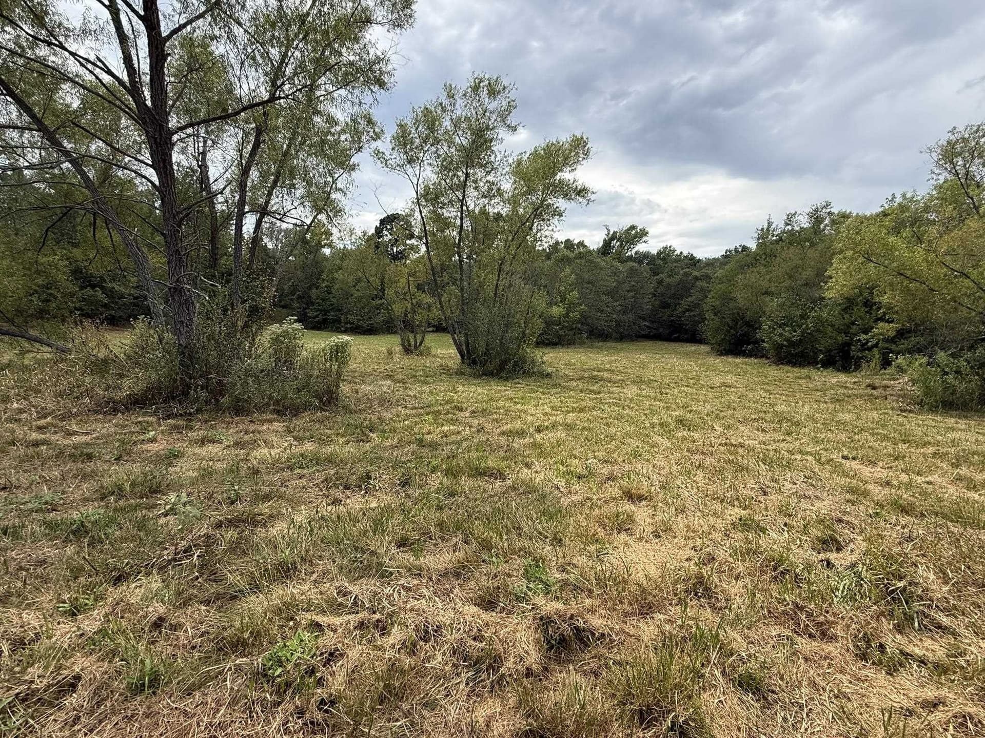 33 acres in Texas County - photo 14