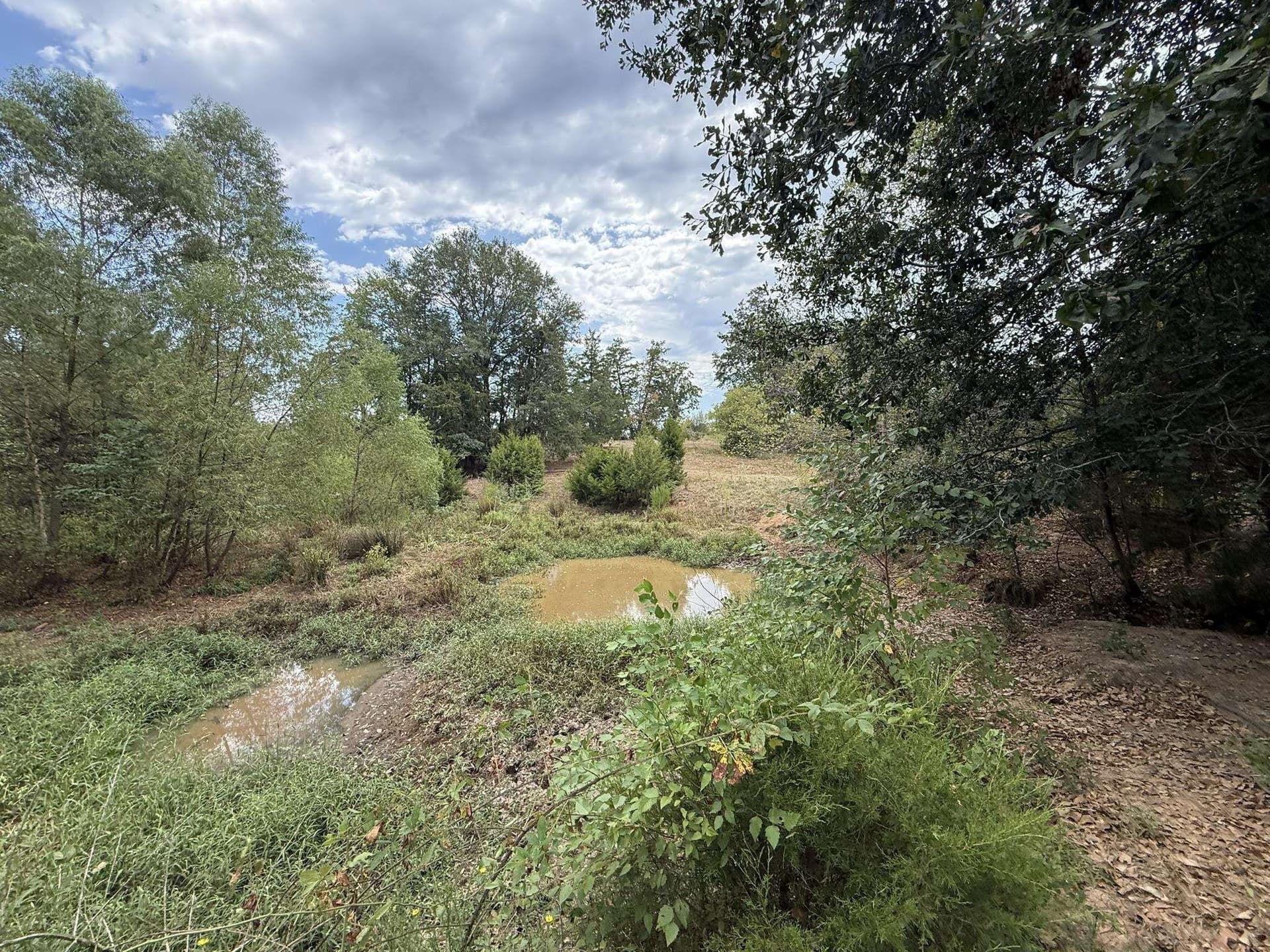 33 acres in Texas County - photo 11