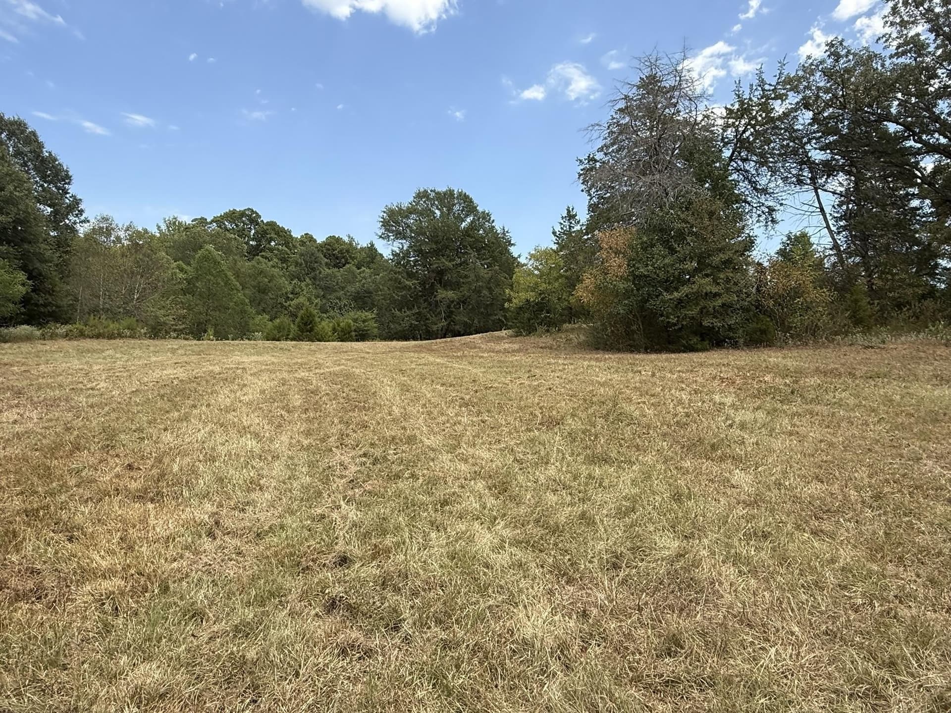 33 acres in Texas County - photo 6