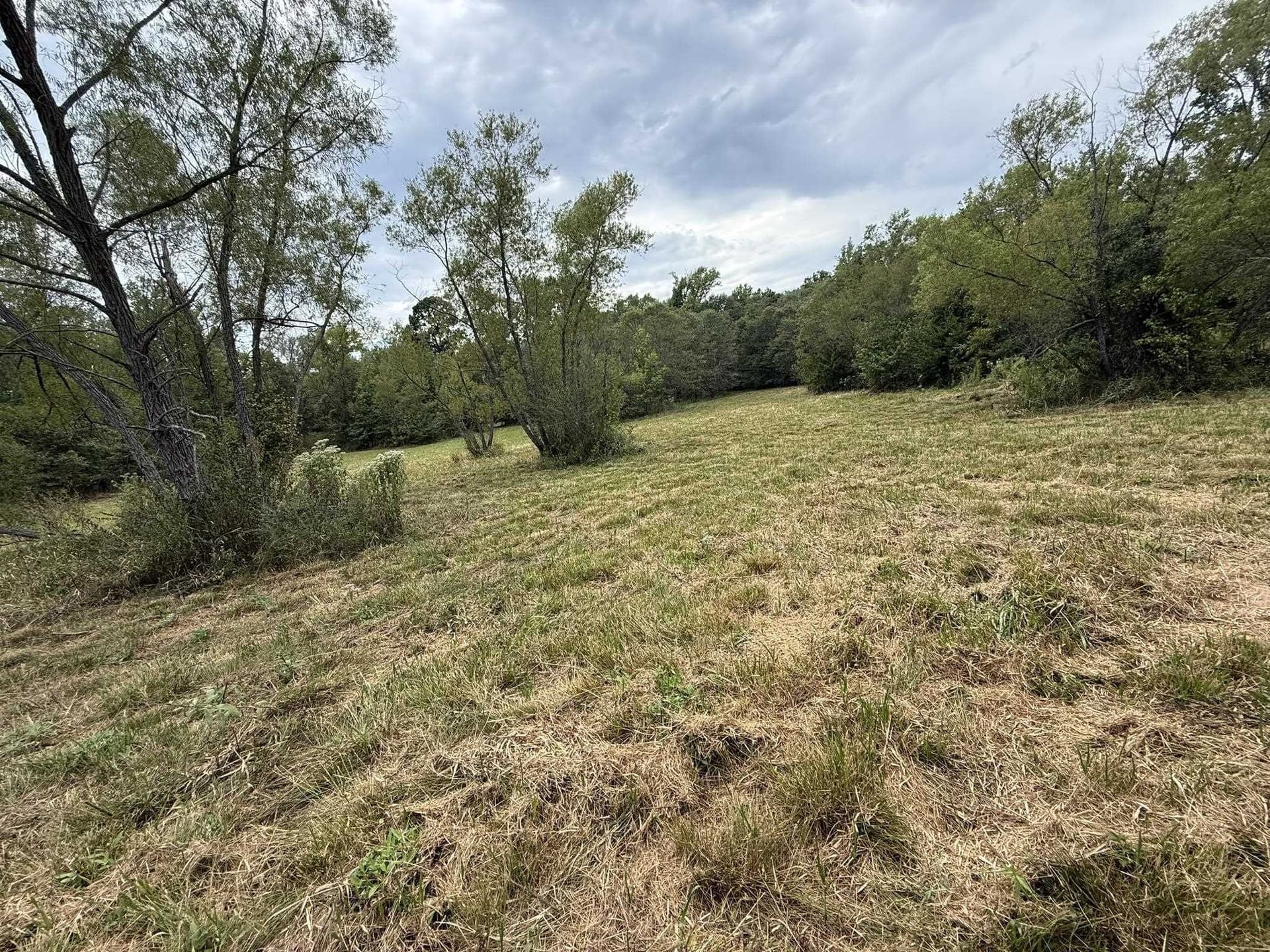 33 acres in Texas County - photo 15