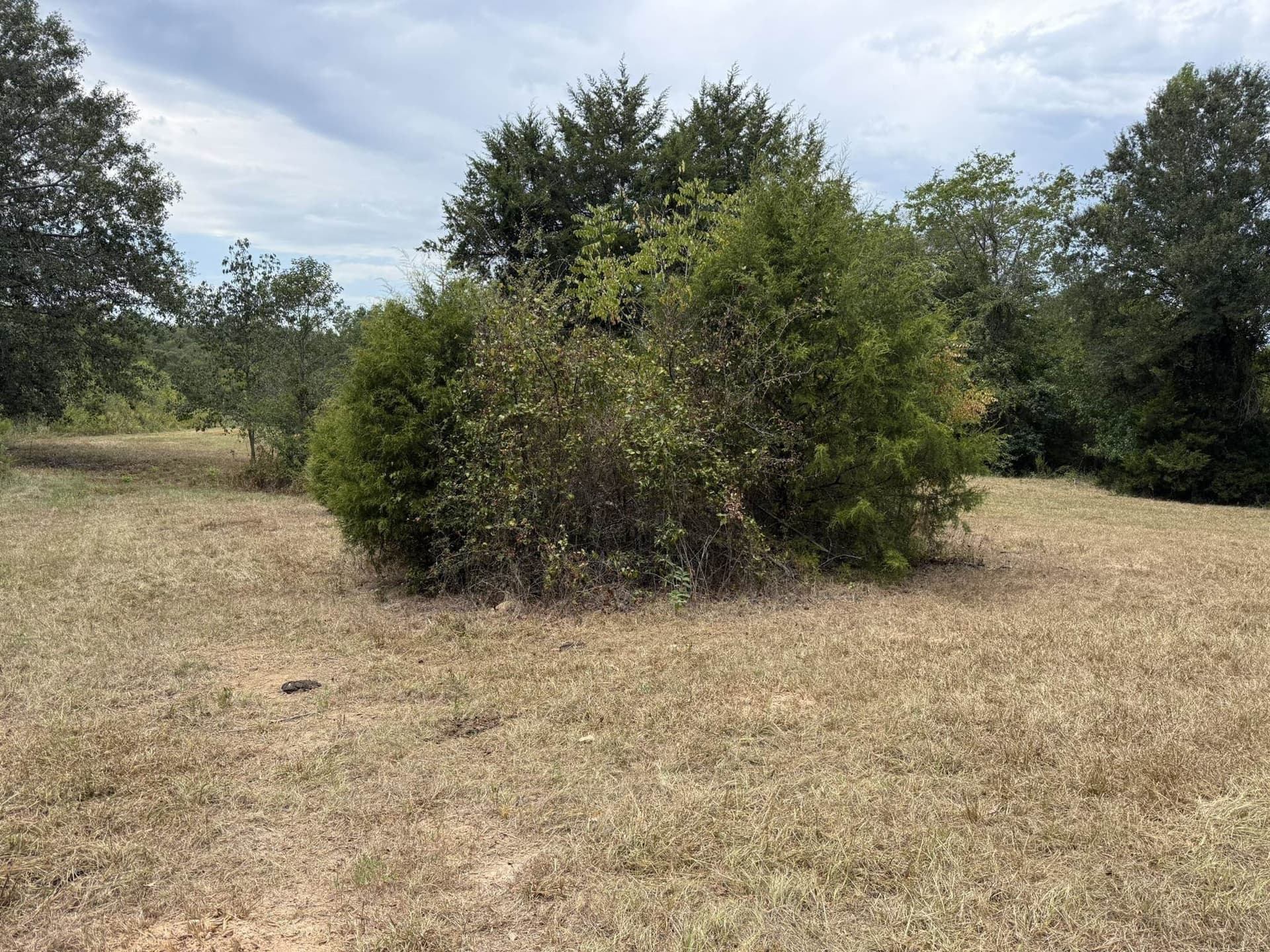 33 acres in Texas County - photo 8