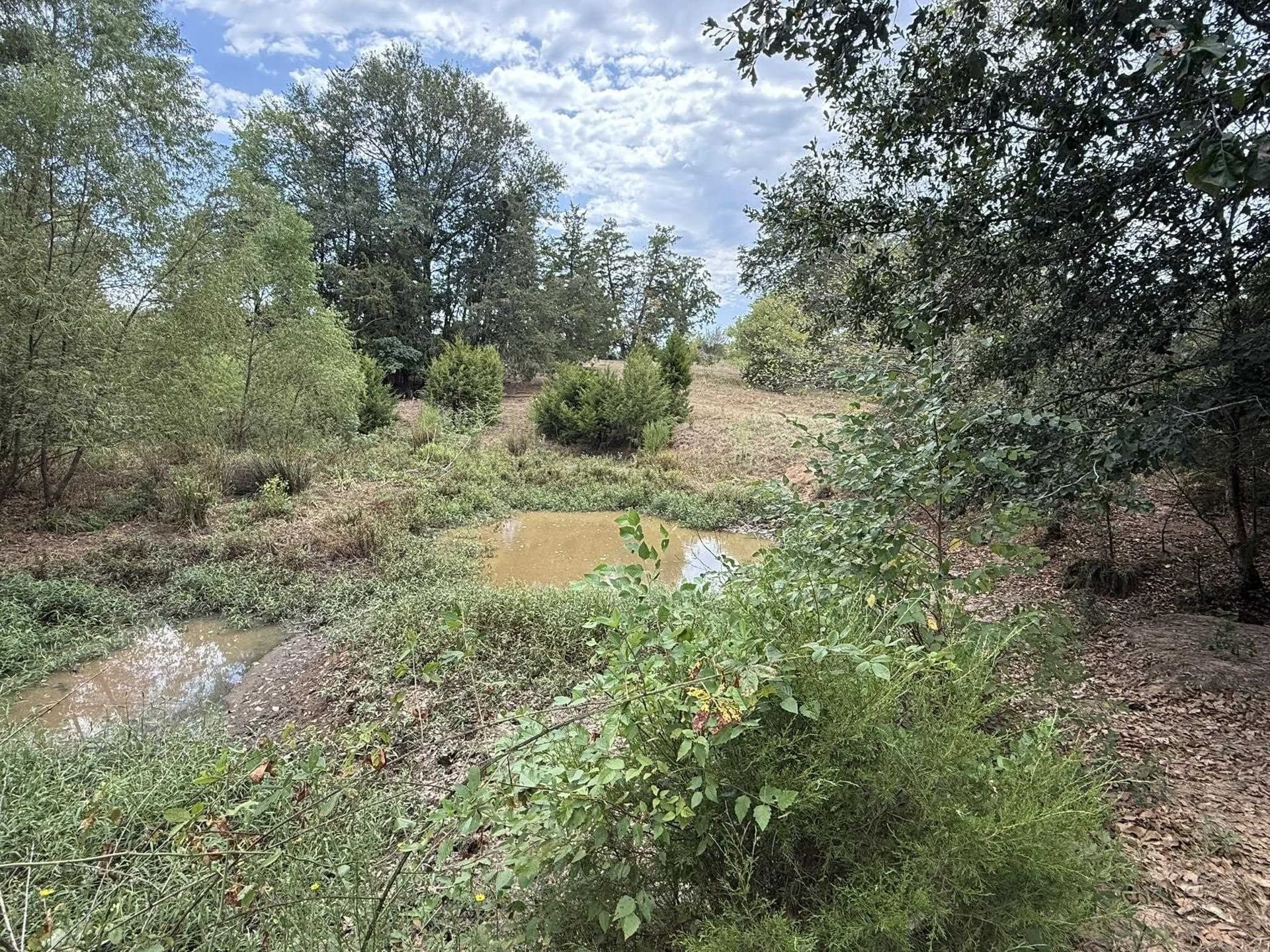 33 acres in Texas County - photo 10