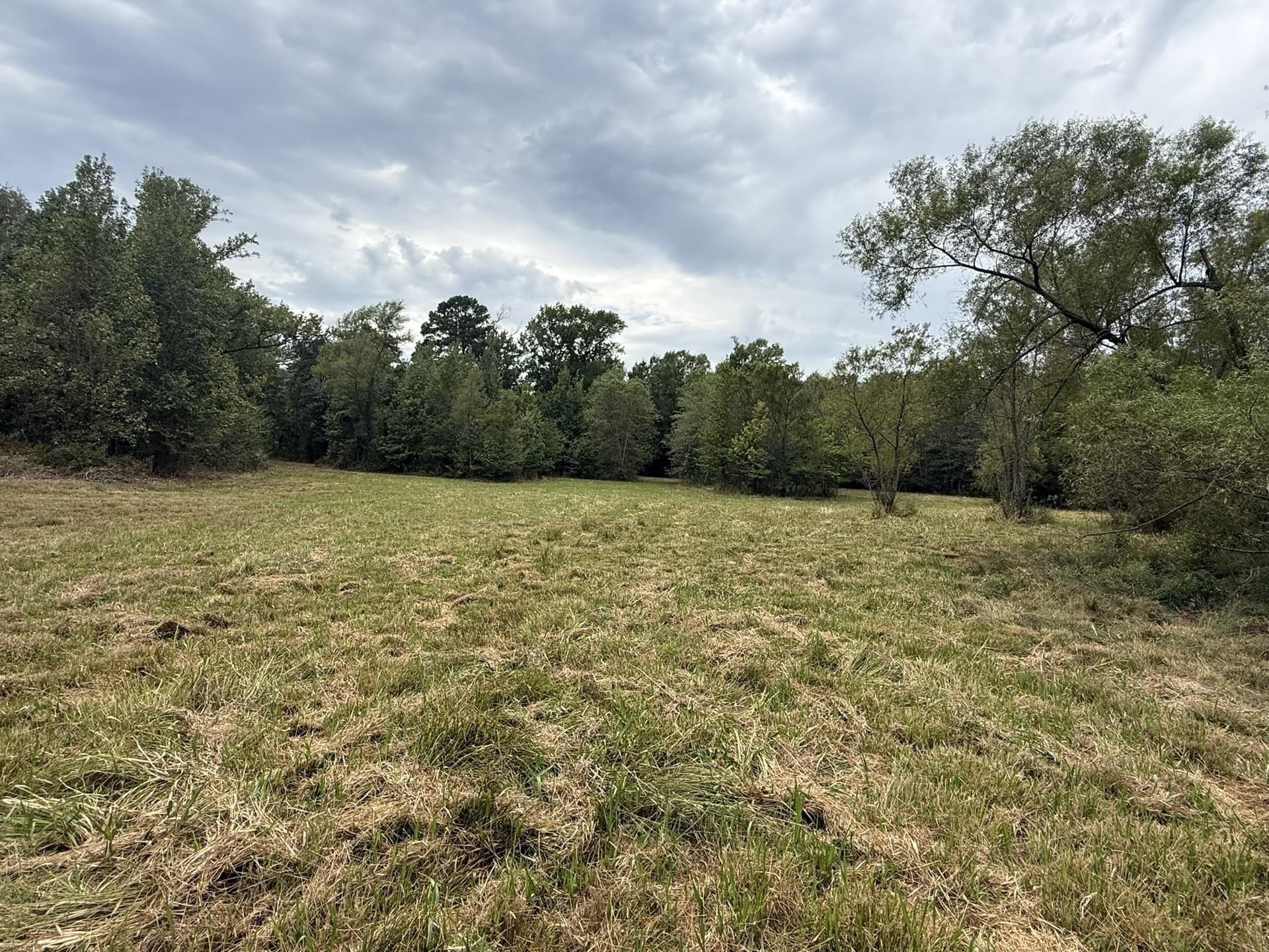 33 acres in Texas County - photo 19