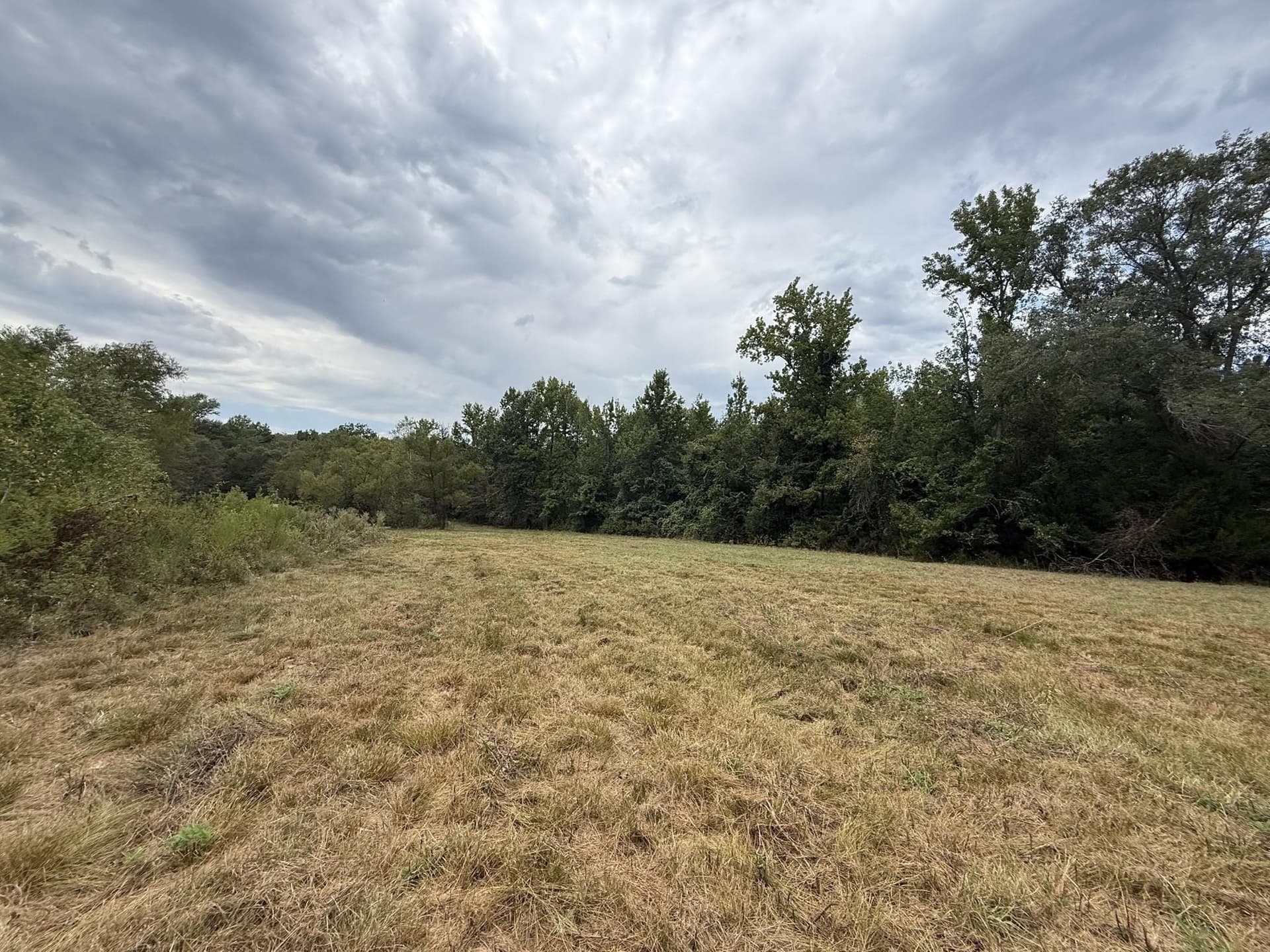 33 acres in Texas County - photo 12