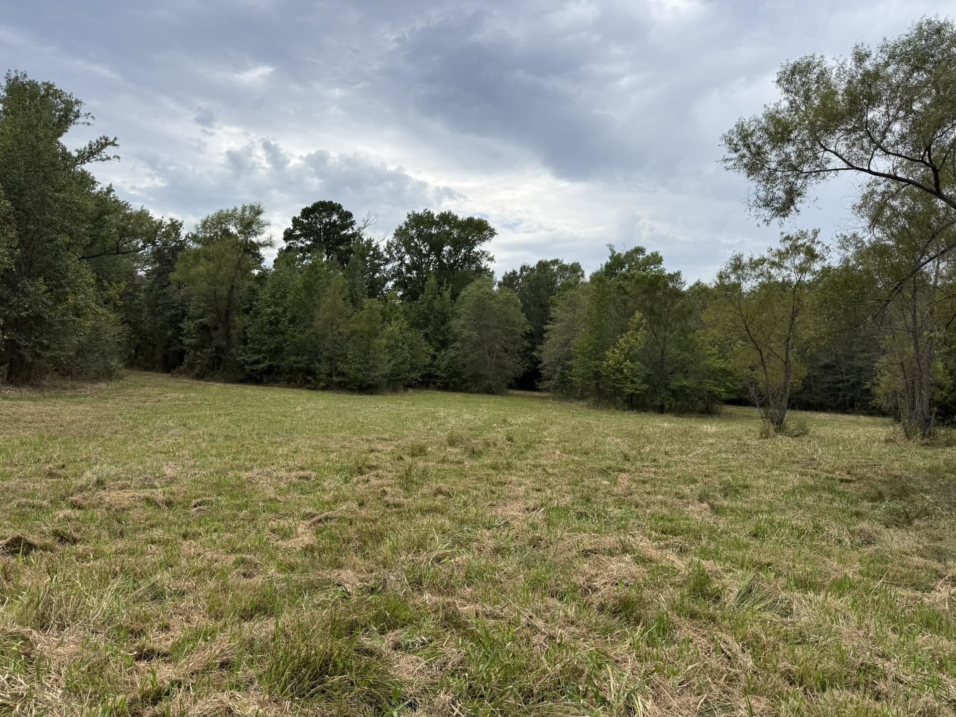 33 acres in Texas County - photo 18