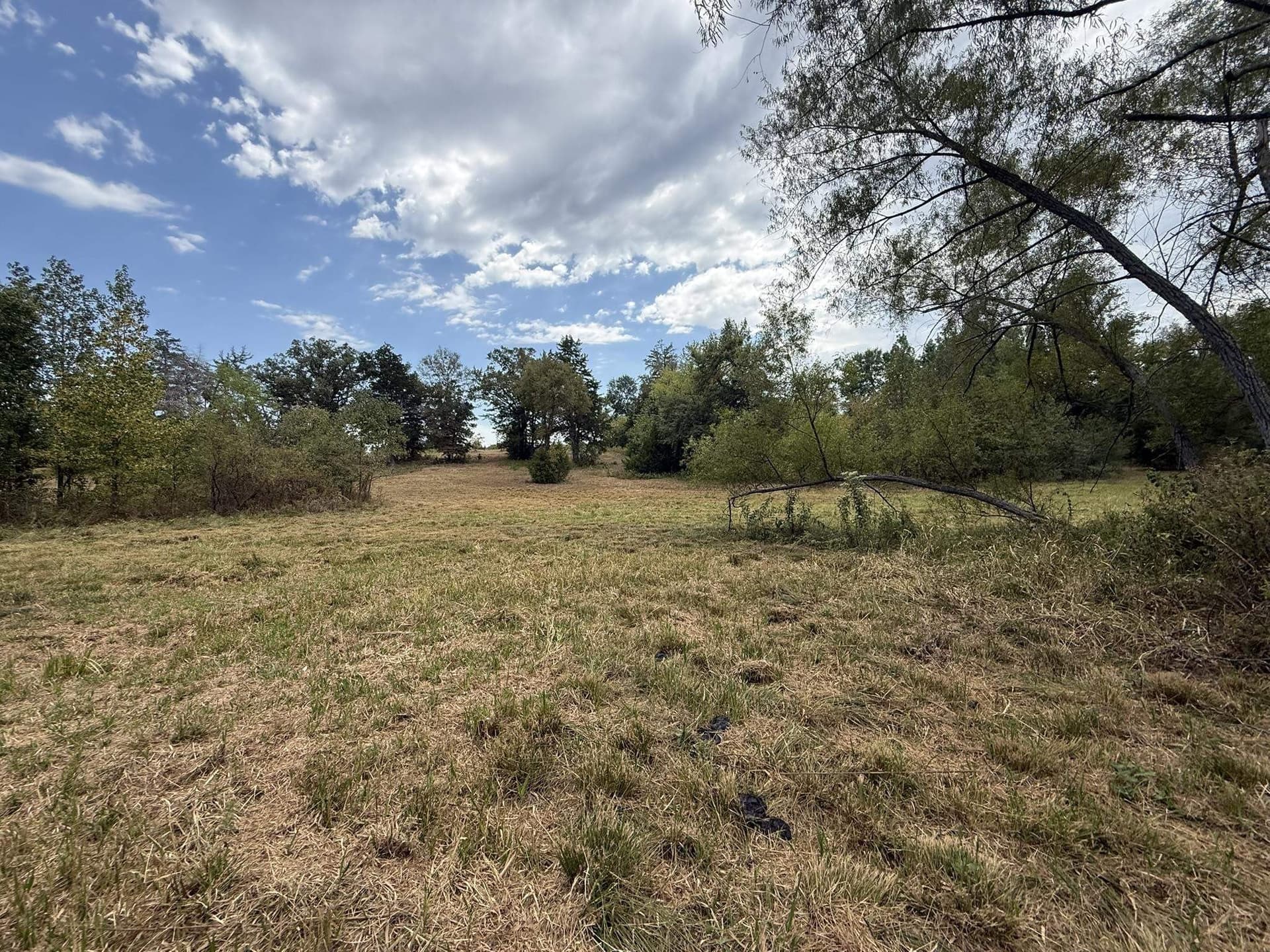 33 acres in Texas County - photo 17