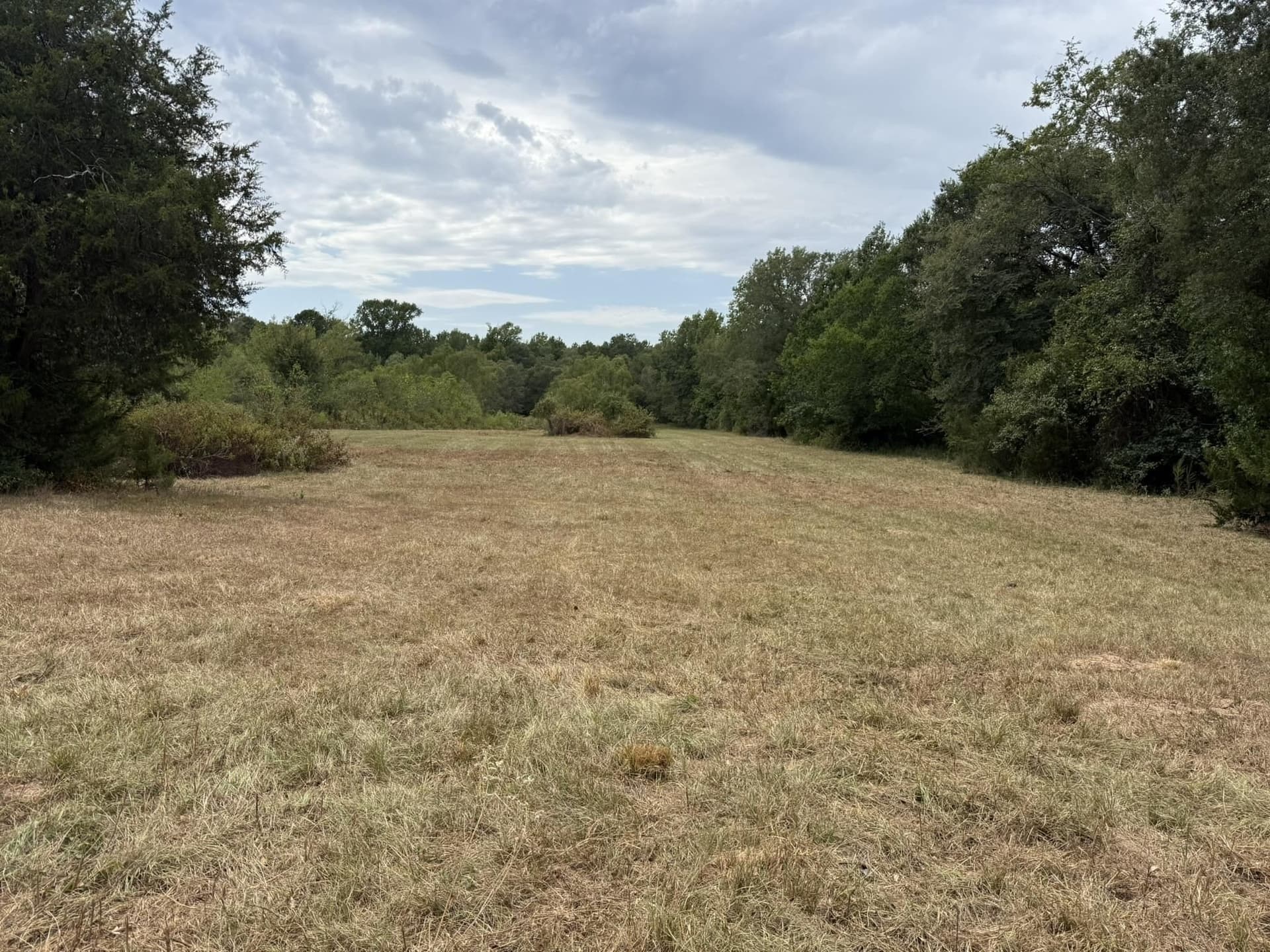 33 acres in Texas County - photo 9