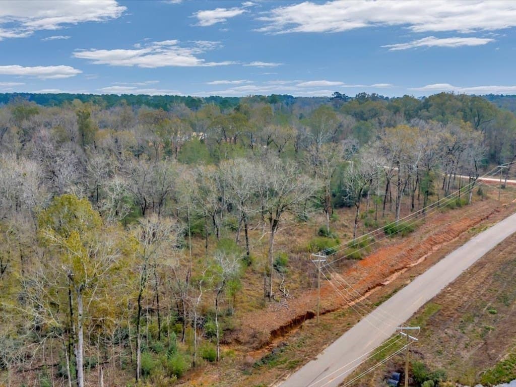 10 acres in Texas County - photo 2