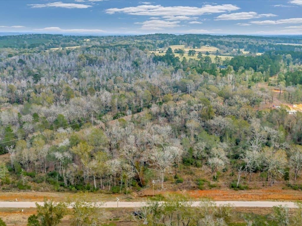 10 acres in Texas County - photo 3