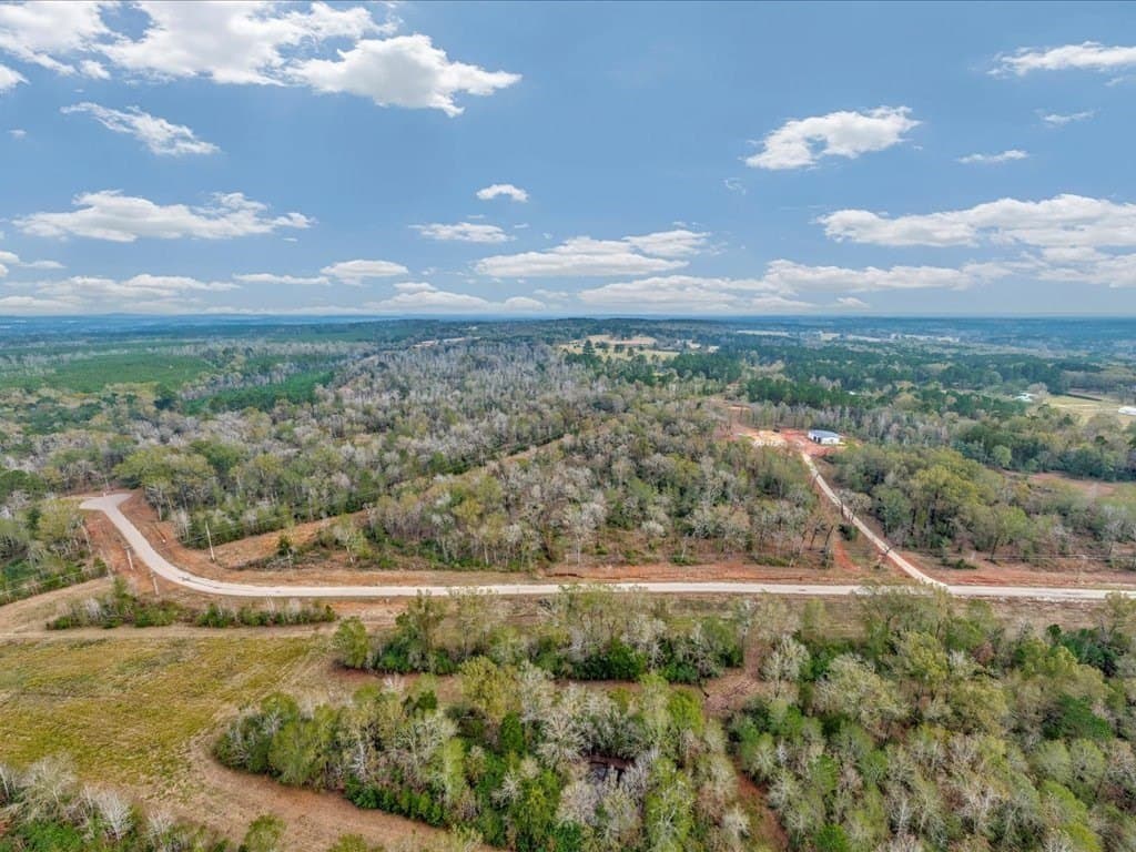 10 acres in Texas County - photo 5