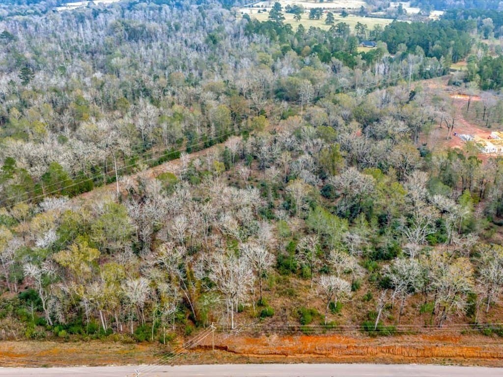 10 acres in Texas County - photo 6