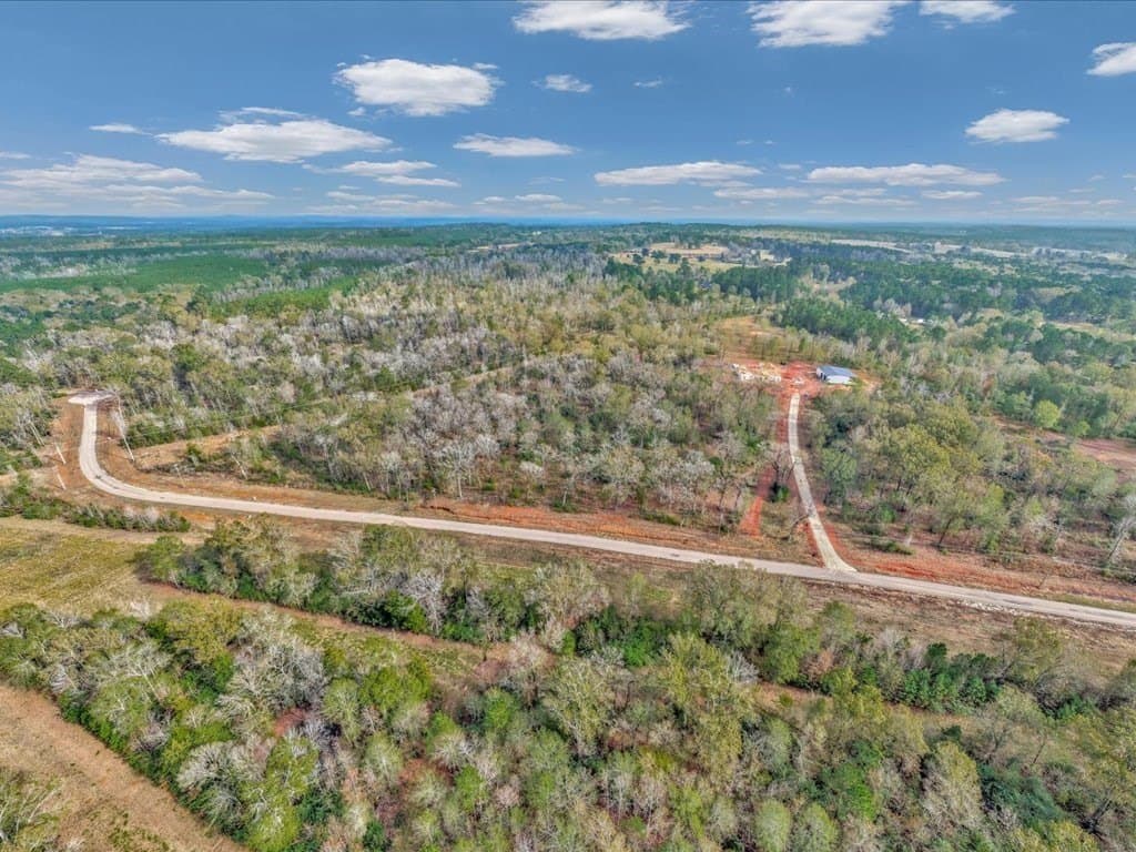 10 acres in Texas County - photo 12