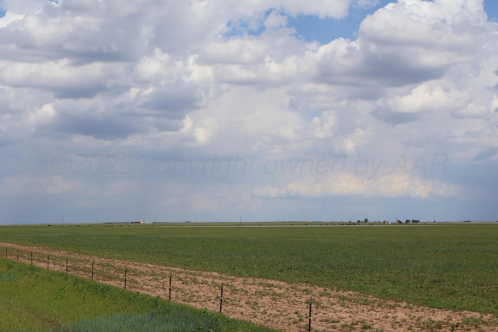 10 acres in Castro County gallery image 2