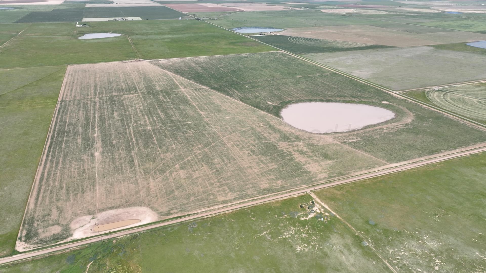 10 acres in Castro County featured view