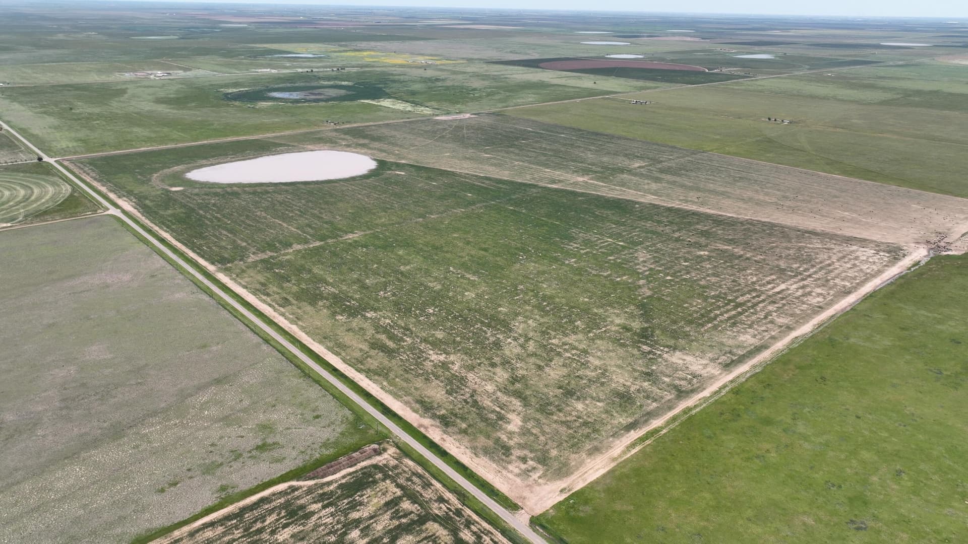 10 acres in Castro County gallery image 4