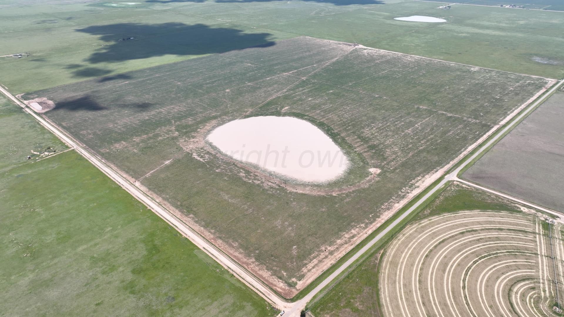 10 acres in Castro County gallery image 3